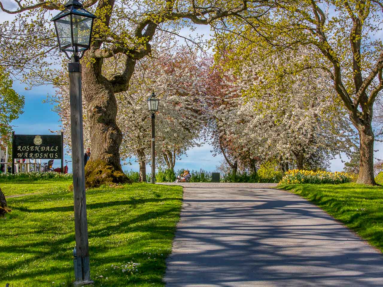 Festvåning på Djurgården - Trädgården